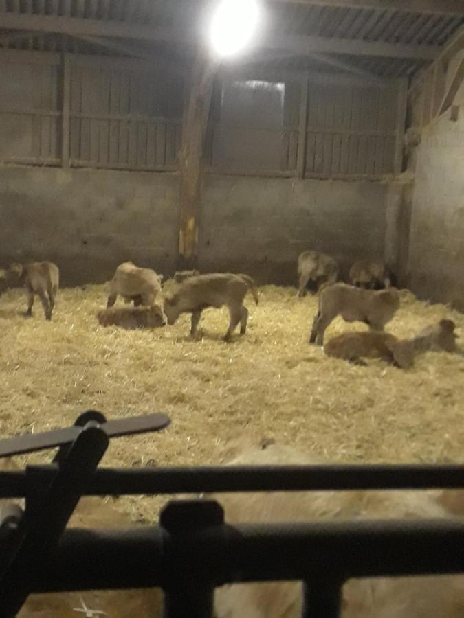Holiday home Eco A La Ferme