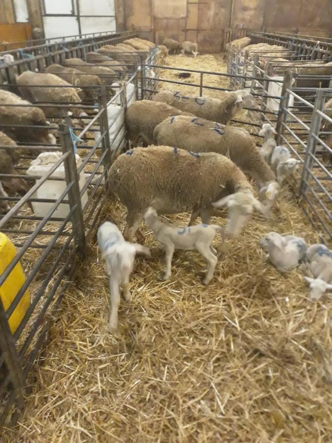 Eco A La Ferme Holiday home
